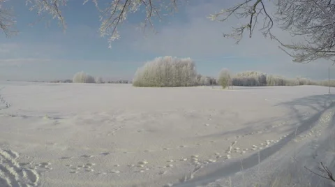 Beautiful winter landscape with fields and trees, time lapse 4K Stock Footage 59896331