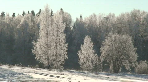 Beautiful winter landscape Stock Footage 91724
