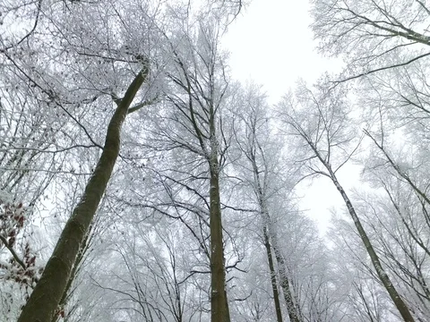 Beautiful winter landscape Stock Footage 71201299