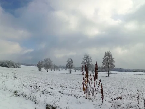 Beautiful winter landscape Stock Footage 71217817