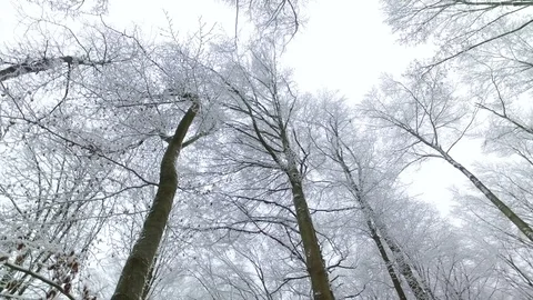 Beautiful winter landscape Stock Footage 71219135