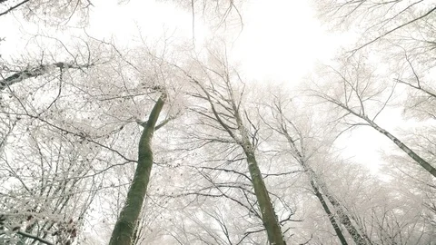 Beautiful winter landscape Stock Footage 71219176