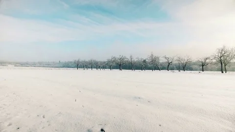 Beautiful winter landscape Stock Footage 71219179