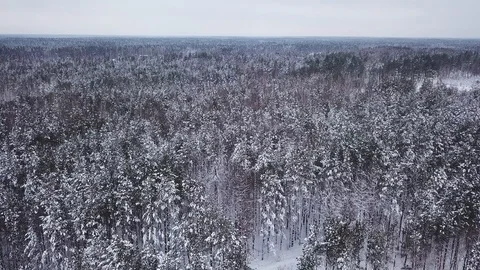 Beautiful winter landscape. Stock Footage 88367075
