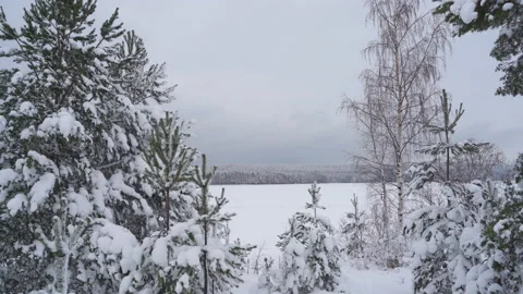 Beautiful winter landscape Video stock 146975541