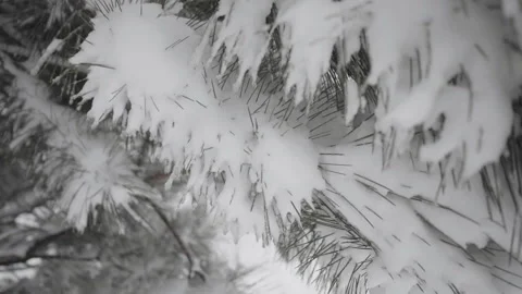 Beautiful winter landscape Stock Footage 170286963