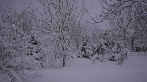Beautiful winter landscape Stock Footage 170287291