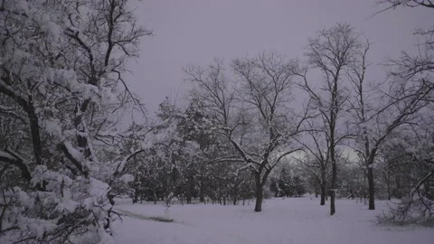 Beautiful winter landscape Stock Footage 170287563