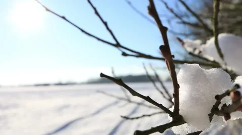 Beautiful winter landscape in full HD. Stock-Footage 59140211