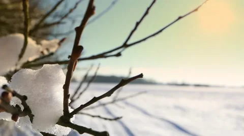 Beautiful winter landscape in full HD. Stock-Footage 59140228