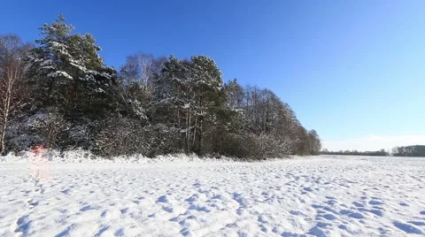 Beautiful winter landscape in full HD. Stock-Footage 59140253