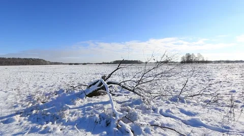 Beautiful winter landscape in full HD. Stock-Footage 59140286