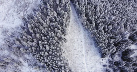 Beautiful winter landscape from a height Stock Footage 150491856