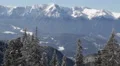 Beautiful Winter Landscape Idyllic Christmas Holiday Background Snow Covered Day HD Footage