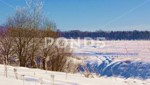 Beautiful winter landscape in the Moscow region. Stock Photos