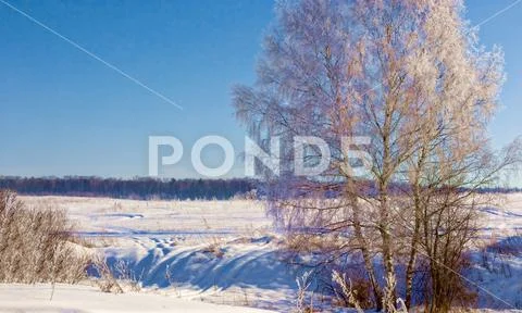 Beautiful winter landscape in the Moscow region. Stock Photos