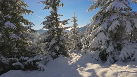 Beautiful winter landscape in the mountains. Setting sun breaks through the snow Video stock 146840278