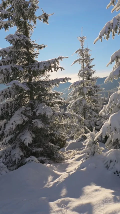 Beautiful winter landscape in the mountains. Setting sun breaks through the snow Stock Footage 274550862