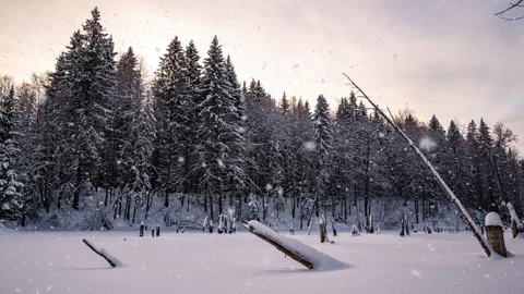 Beautiful winter landscape, movement of the camera to the left over the lake Stock Footage 168943981
