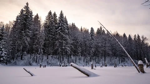 Beautiful winter landscape, movement of the camera to the left over the lake Stock Footage 169758582