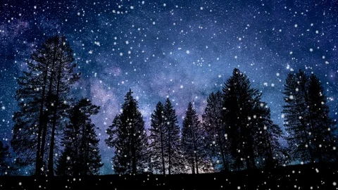Beautiful Winter Landscape at night while it snows animation Stock-Footage 122138088