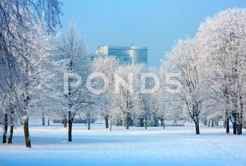 Beautiful winter landscape Stock Photos