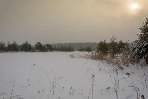 A beautiful winter landscape. Stock Photos
