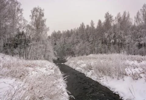 A beautiful winter landscape. Stock Photos