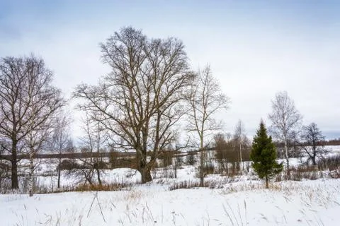 Beautiful winter landscape. Stock Photos