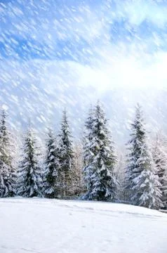 Beautiful winter landscape Foto stock