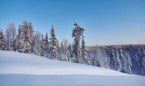 Beautiful winter landscape Fotos de archivo