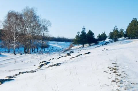 Beautiful Winter Landscape Stock Photos