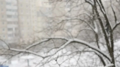 Beautiful winter landscape. Snow is falling on the background of a blurred house Stock Footage 119878950