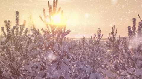 Beautiful winter landscape at sunset. 스톡 동영상 177742250