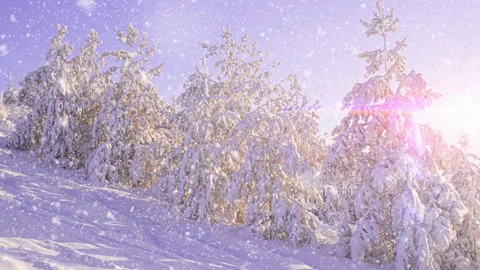 Beautiful winter landscape at sunset. Light snow falling. Stock Footage 166724397