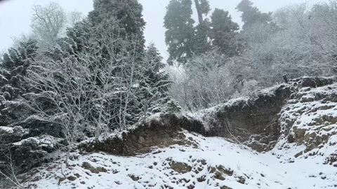 Beautiful winter landscape at sunset. Light snow falling.  Stock Footage 229900615