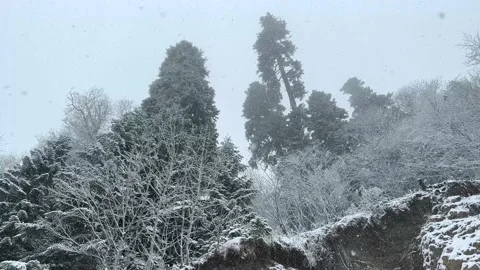 Beautiful winter landscape at sunset. Light snow falling.  Stock Footage 229900619