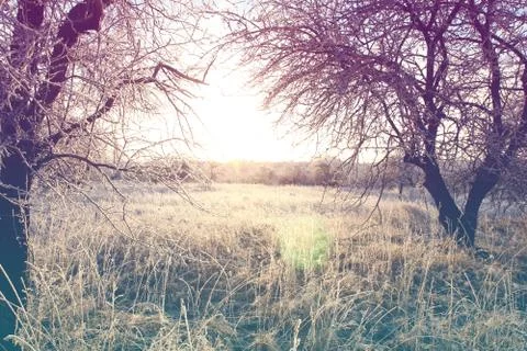 Beautiful winter landscape with vintage toning effect Stock Photos