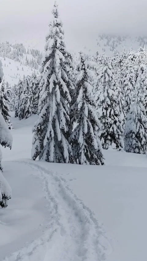A beautiful winter landscape while hiking in the winter mountains. POV Stock Footage 220412635