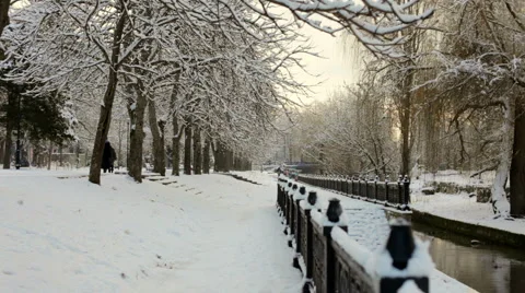 Beautiful winter park Stock Footage 1085838