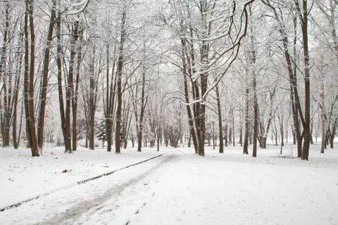 Beautiful winter Stock Photos