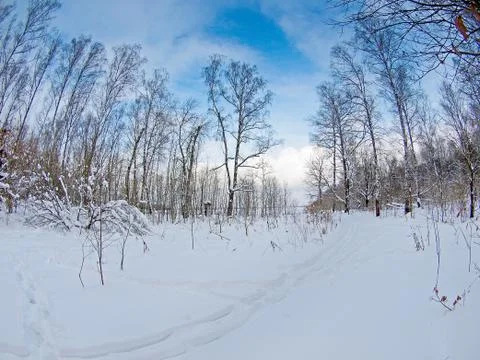 Beautiful winter Foto stock
