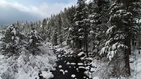 Beautiful Winter River Stock Footage 101043552
