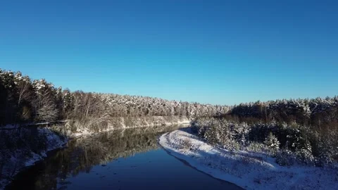 Beautiful winter River with pine trees on the bank in 4K Stock Footage 297998761