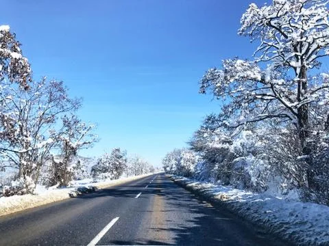 Beautiful winter road view between snow covered trees and sun on the top Stock Photos