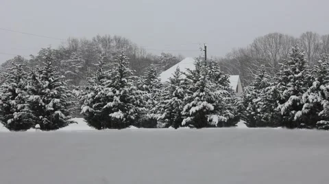 Beautiful Winter Scene Stock Footage 61191782