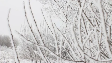 Beautiful Winter Sequence in Nature Stock Footage 82942799