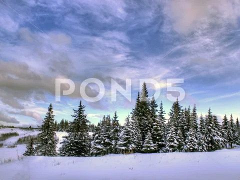 Beautiful winter sky Stock Photos