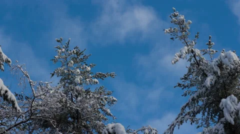 Beautiful Winter Snow and Clouds 4K Timelapse Vídeo Stock 44393328