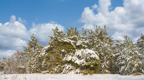 Beautiful winter snowbound landscape Stock Footage 60707253